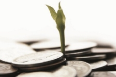 Asset Management Foundation Micro-certificate
